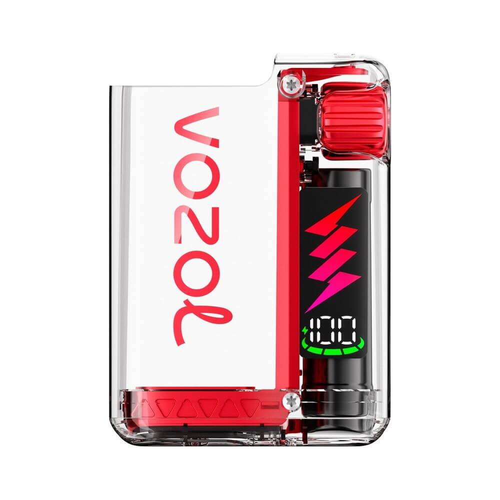VOZOL Vista Plug Basisgerät (Akku)