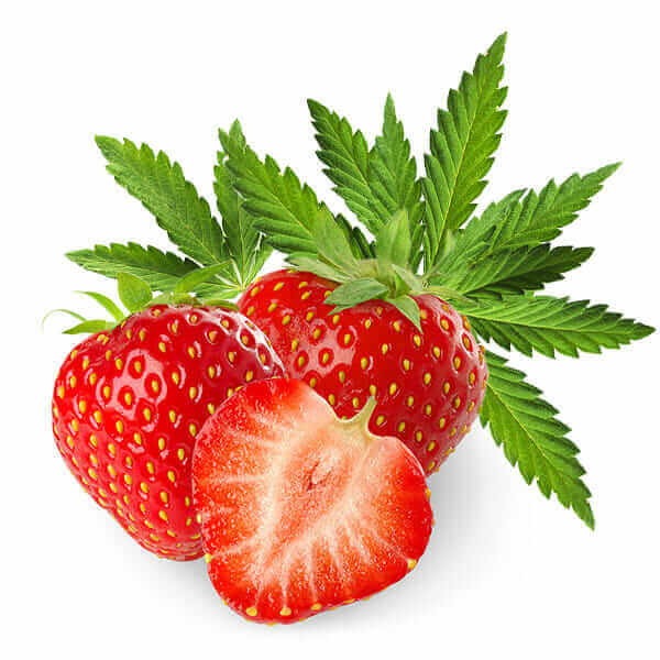 Dark Burner - CHILLOUT - Strawberry - Kush - 10ml Aroma - Haus des Dampfes