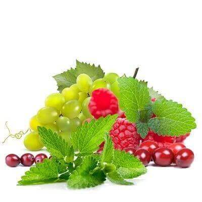 DARK BURNER - W.T.F - 10 ml Aroma - Haus des Dampfes