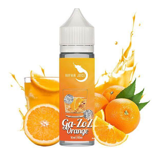 Hayvan Juice - Gazoz Orange - 10 ml Aroma - Haus des Dampfes
