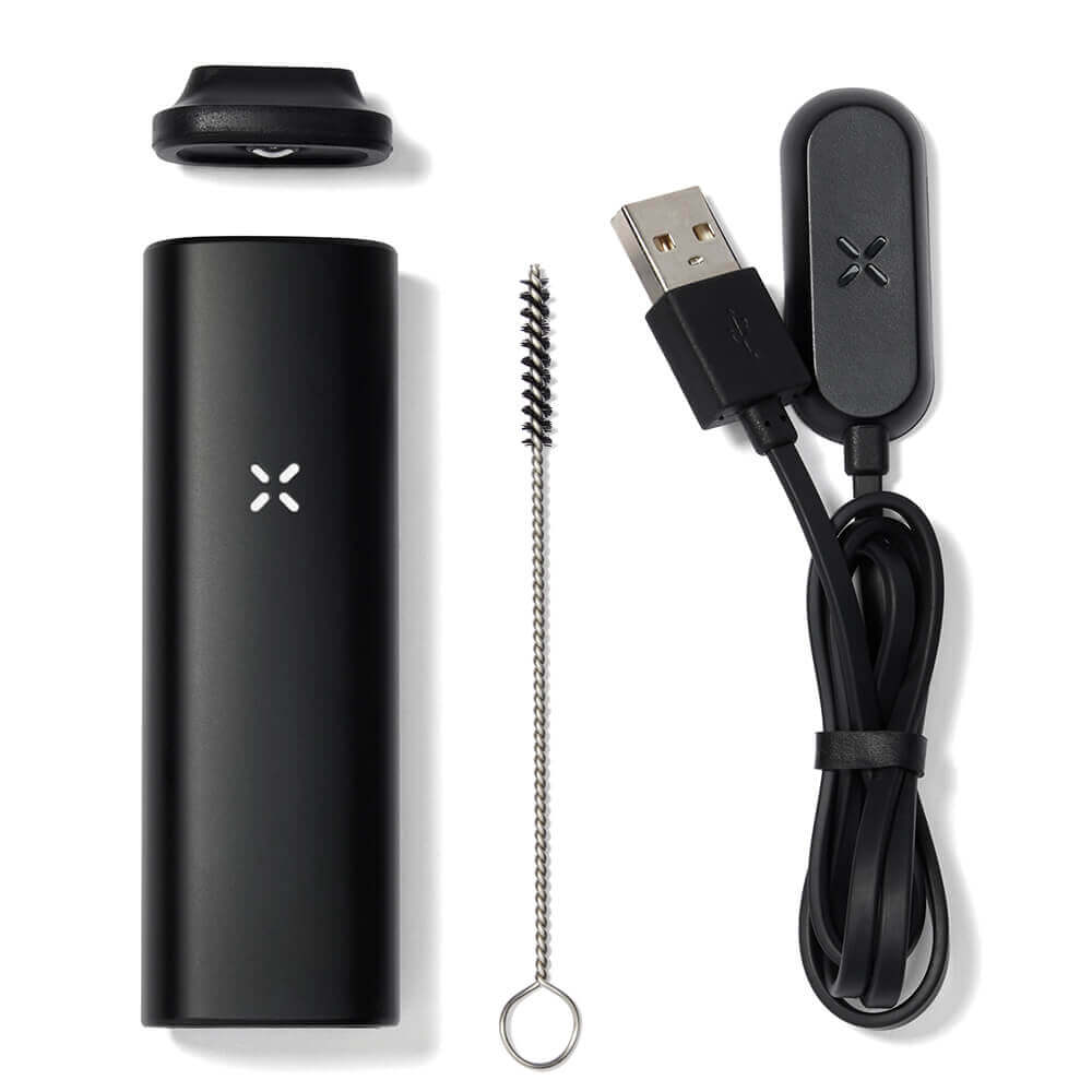 PAX Mini Onyx Vaporizer kit including vaporizer, USB charger, cleaning brush, and accessories.