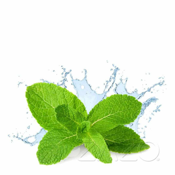 Zazo Fresh Mint E - Zigaretten Liquid - Haus des Dampfes