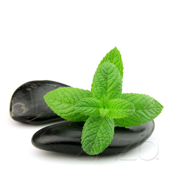 Zazo Menthol E - Zigaretten Liquid - Haus des Dampfes
