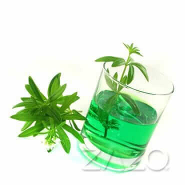 Zazo Waldmeister E - Zigaretten Liquid - Haus des Dampfes