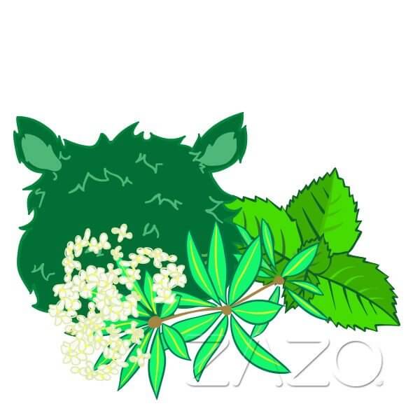 Zazo Waldmonster E - Zigaretten Liquid - Haus des Dampfes