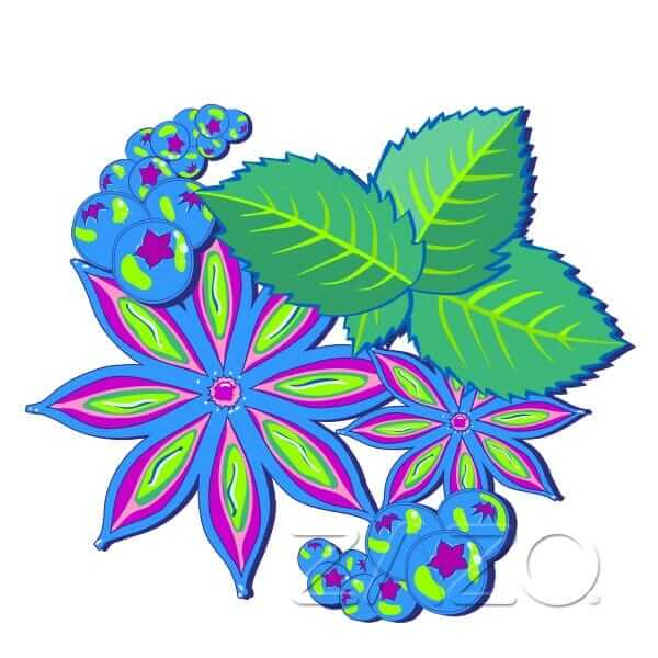 Zazo Wonderland E - Zigaretten Liquid - Haus des Dampfes